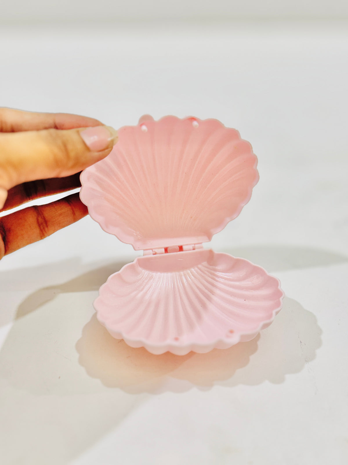 Jewellery | Shell Organiser