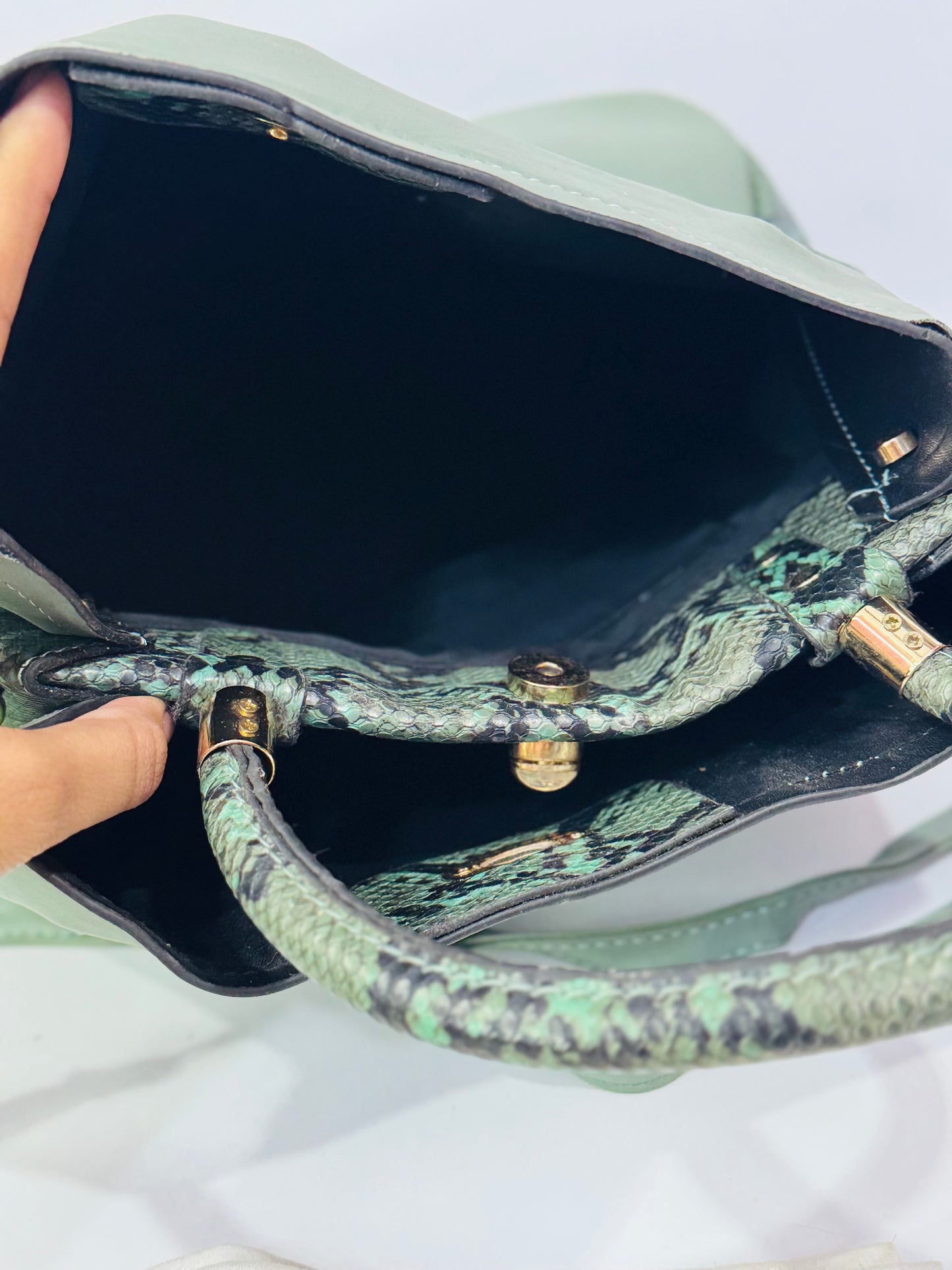 Snake Bag