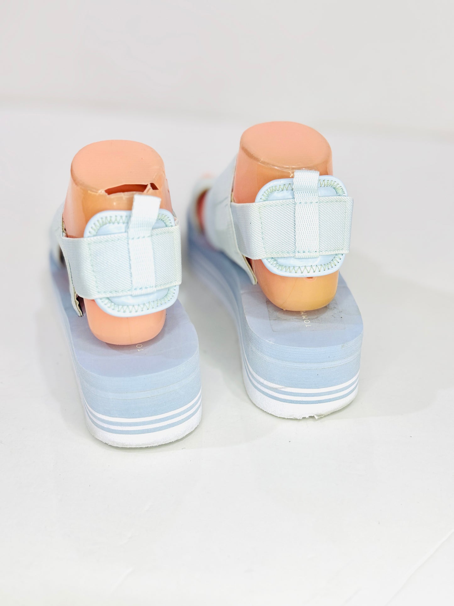 TOMMY HILFIGER | 38/39