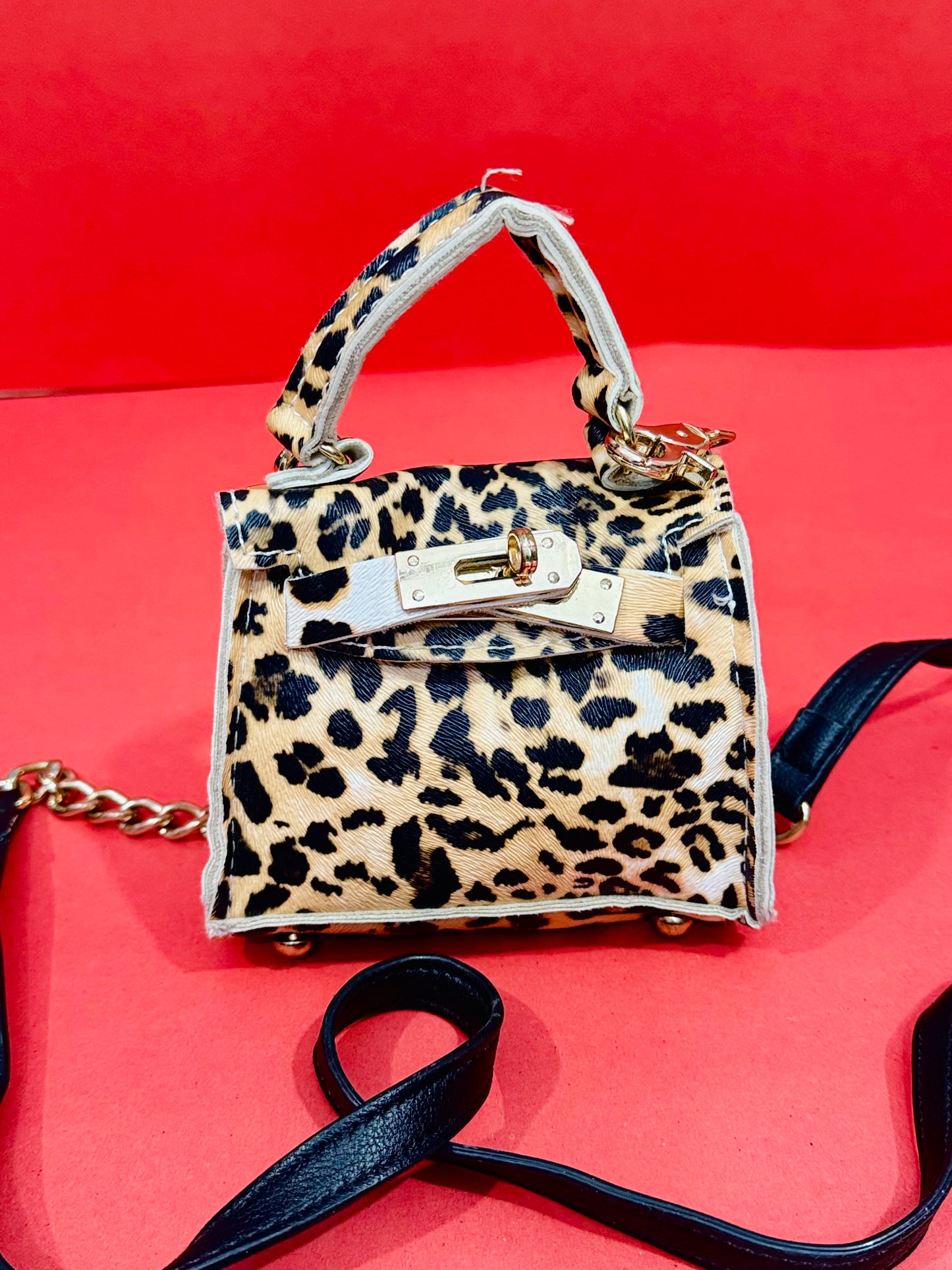 Mini |Hand Crossbody Bag