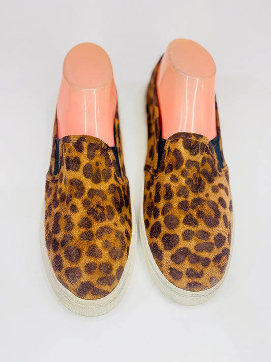 Cheetah | 39/40